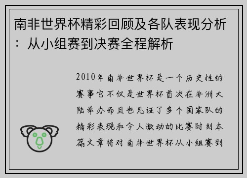 南非世界杯精彩回顾及各队表现分析：从小组赛到决赛全程解析